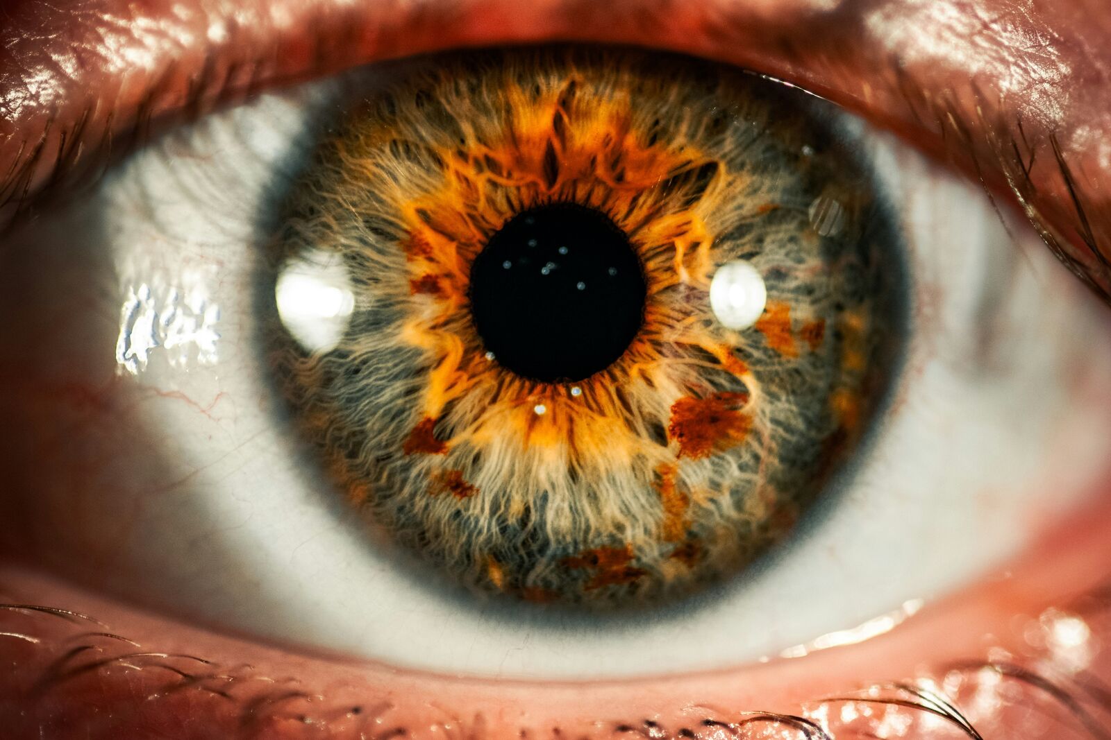 Macro d'œil éditoriale, image de démonstration